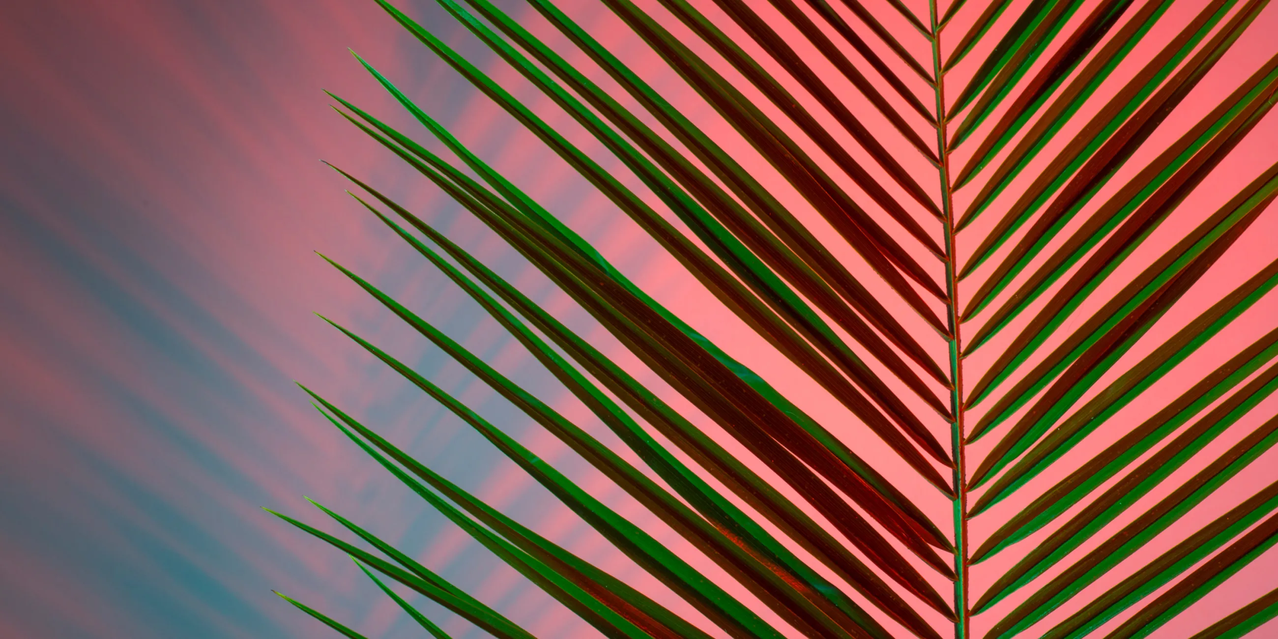 Environmental, Social & Governance (ESG) Practice Image